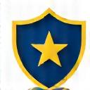 Certified expert badge icon